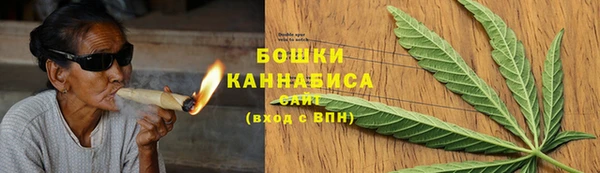 прущие грибы Елабуга