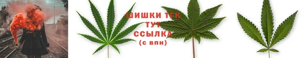 PSILOCYBIN Елизово