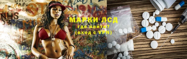 прущие грибы Елабуга