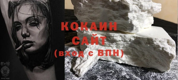 соль ск Дмитров